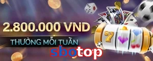 sbotop