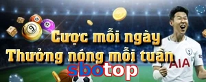 sbotop